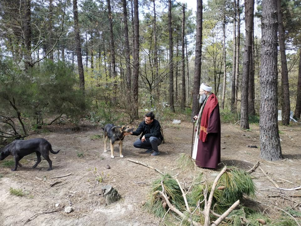 Hocaefendi, binlerce sahipsiz köpeğin yiyecek beklediği mıntıkalara gitti